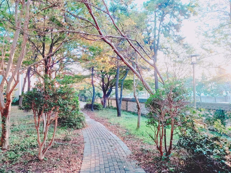 [울산 동구] 《울산》감성HOUSE#까페감성#가족여행#유아동반#무료주차#힐링 51