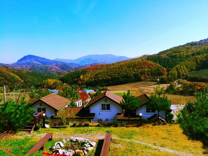 [Pyeongchang] Cabin A "Scent of the Forest" Duplex Private House, Pristine Area. Queen Bed Room, Downstairs Room 16
