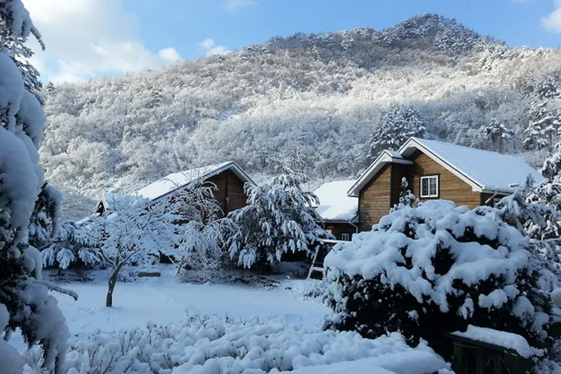[Pyeongchang] Wooden pension Daylily surrounded by Geumdangsan Mountain and Geumdang Valley 26