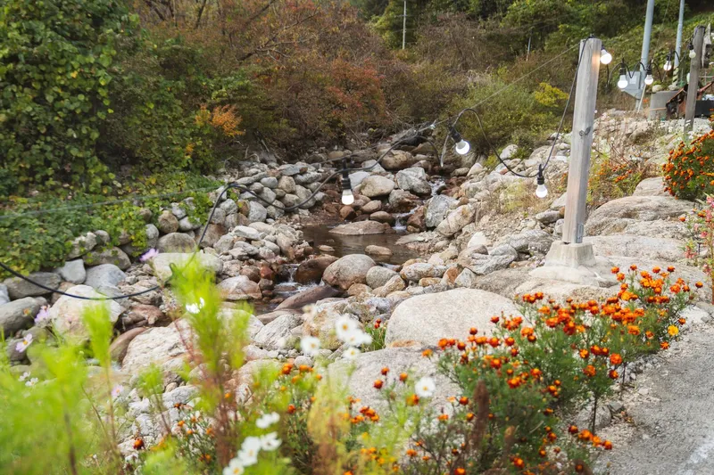 [Yeongju] Independent pension in front of the valley at the foot of Mt. Sobaeksan in Dansan-myeon 81
