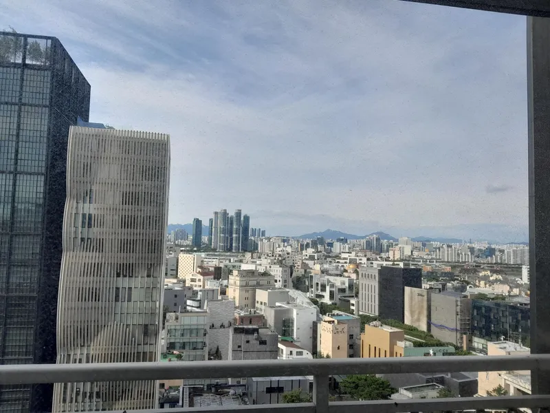 [Gangnam, Seoul] Cheongdam-dong luxury street luxury house 5