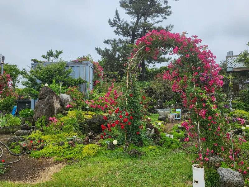 [제주 구좌] 500평 정원 독채바베큐와 불멍 찜질사우나가코앞 #동백 36