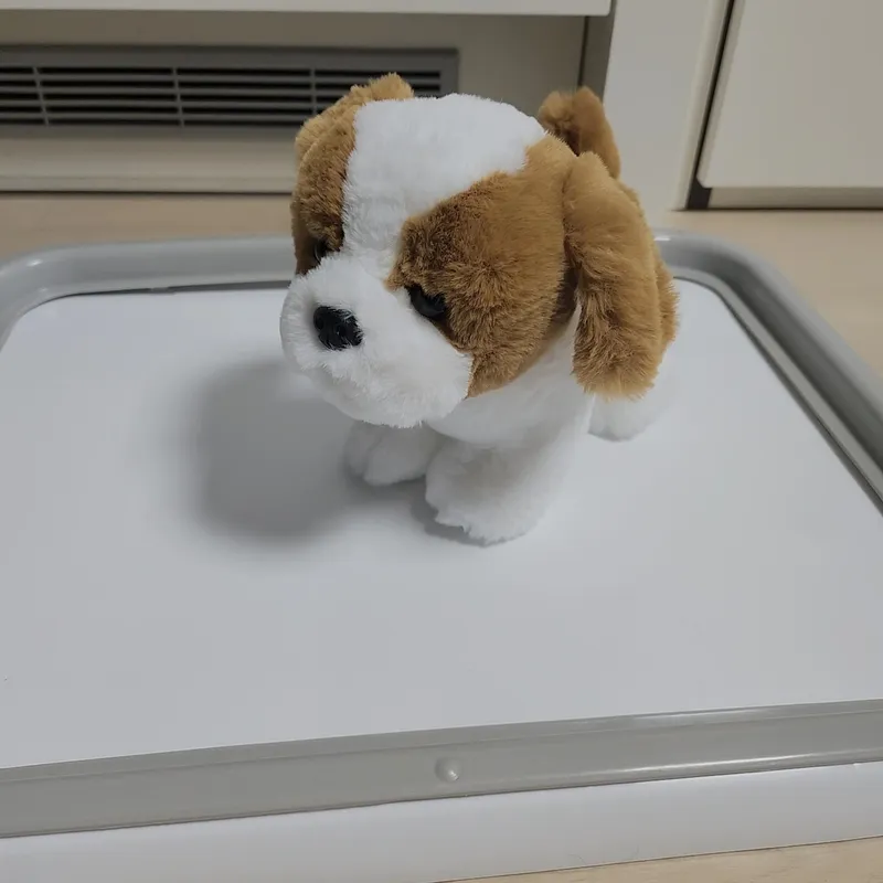 [강원 속초] ★속초해변도보1분★속초아이도보1분★최고층7층☆애견동반가능☆퀸침대2 15