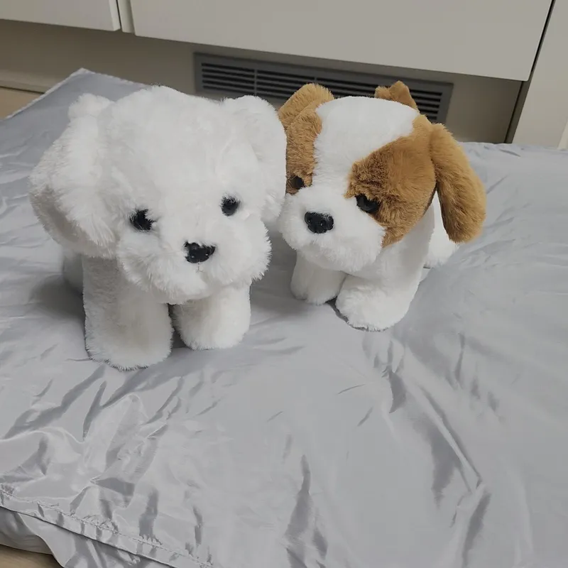 [강원 속초] ★속초해변도보1분★속초아이도보1분★최고층7층☆애견동반가능☆퀸침대2 14