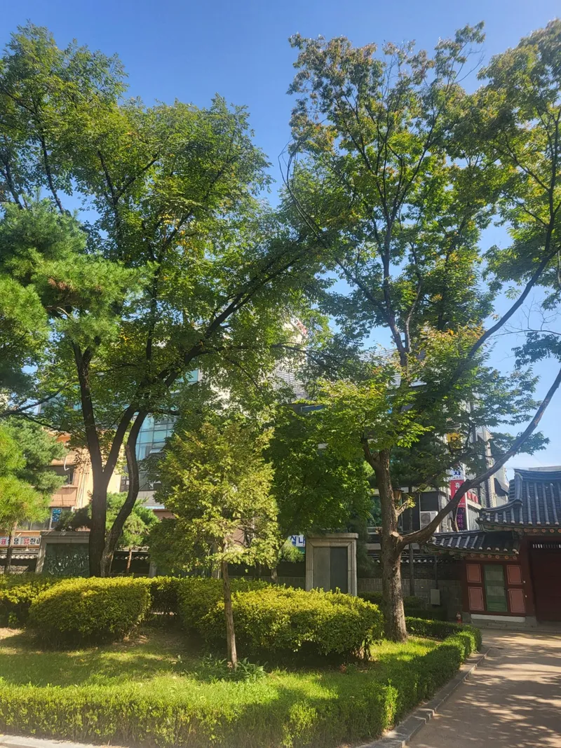 [Jongno, Seoul] Jongro stay in Jongno 3-ga - 2 minutes walk from subway station 8