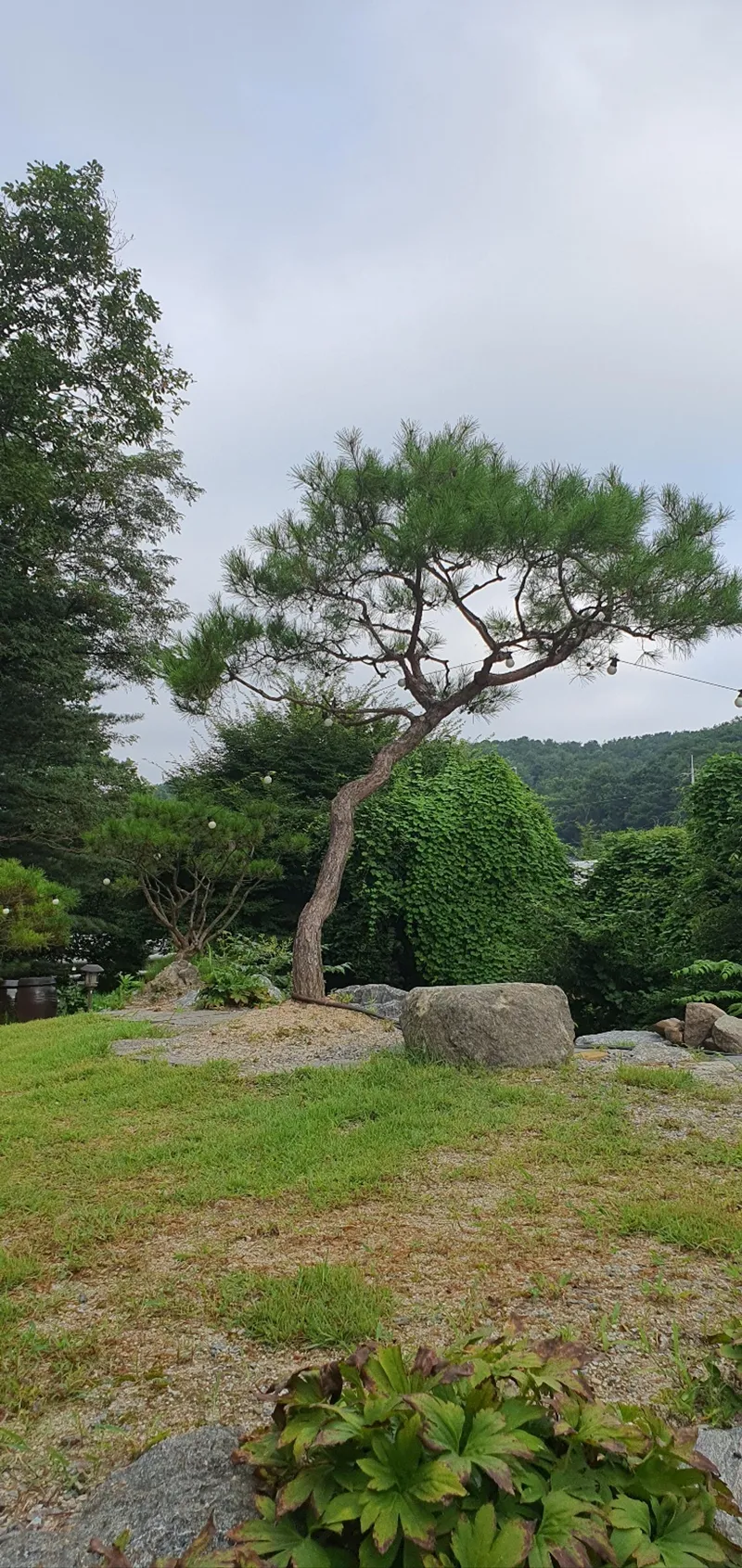 [강원 춘천] 4룸 두리하우스 #방4개 #바베큐 #불멍 2
