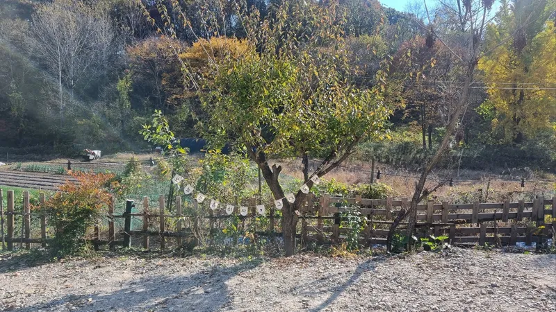 [충남 금산] 인스타 감성이 아닌 흔한 독채 시골집 15