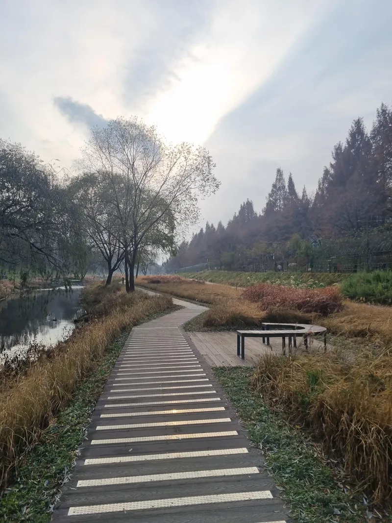 [서울 서초] 스튜디오 아파트,양재역 양재천 근접, 주차편리, 도심속힐링 26
