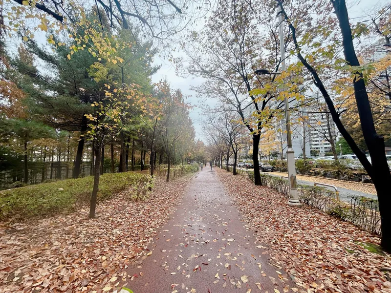 [서울 강서] 양천향교역과 한강인근, 아파트 투룸, 공과금 없음,조용한 동네 15