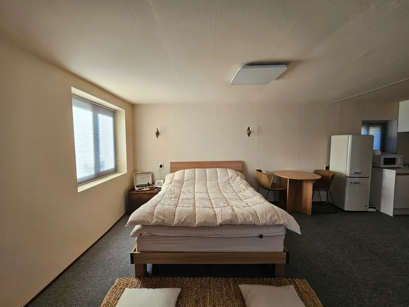 [Seongsan, Seogwipo] Ocean view, dolphin view, Olle trail course, 400-pyeong yard, emotional accommodation #pet 26