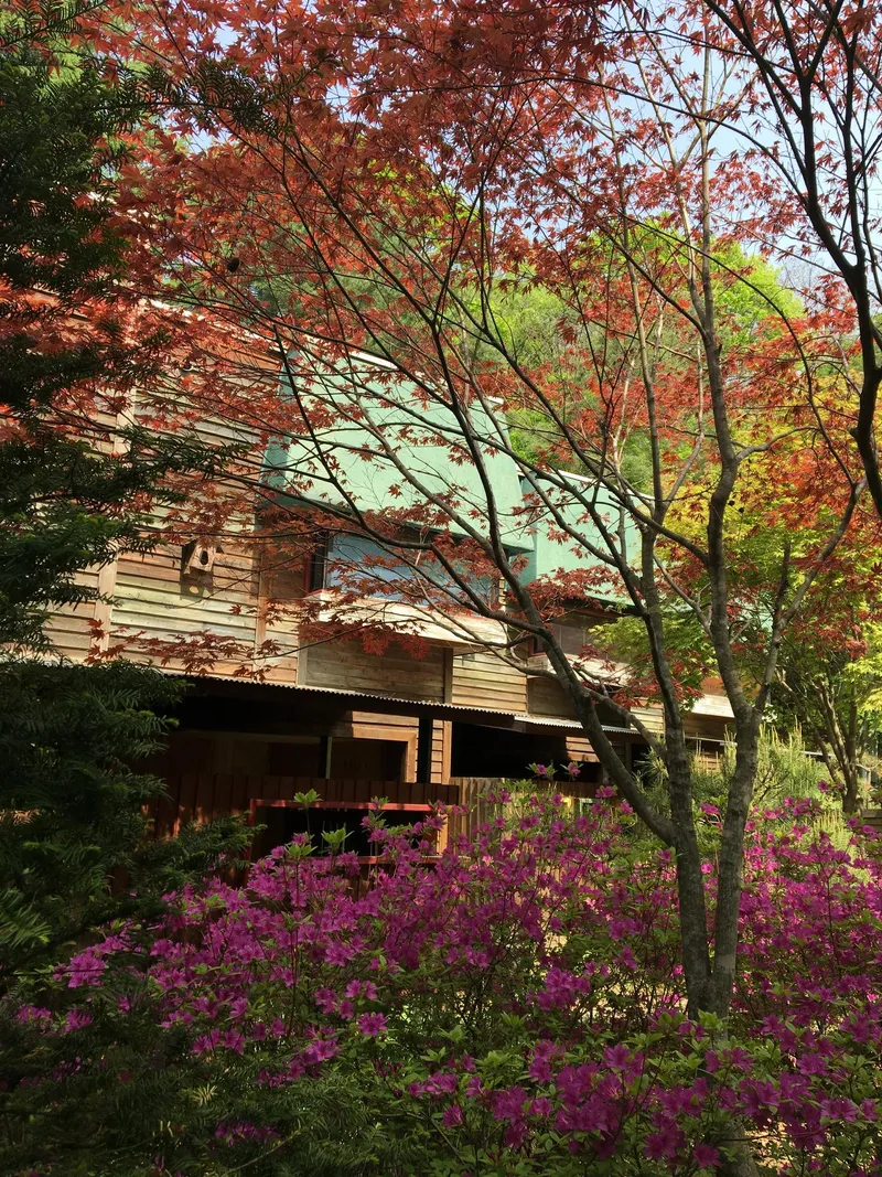 [Pyeongchang] Whypark Season Room. Duplex House. Forest Experience Center. Bongpyeong. Woljeongsa 22