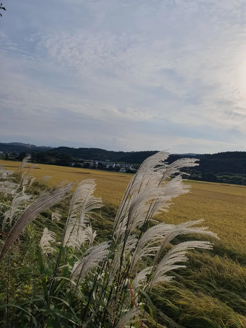 [경북 경주] 경주보문단지 10분거리 펜션 6