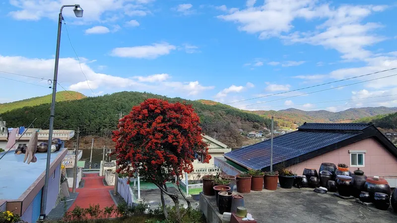 [전남 무안] 시골살이 #골프,낚시, 등산,가족모임 18