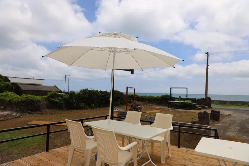 [Seongsan, Seogwipo] Ocean view, dolphin view, Olle trail course, 400-pyeong yard, emotional accommodation #pet 12