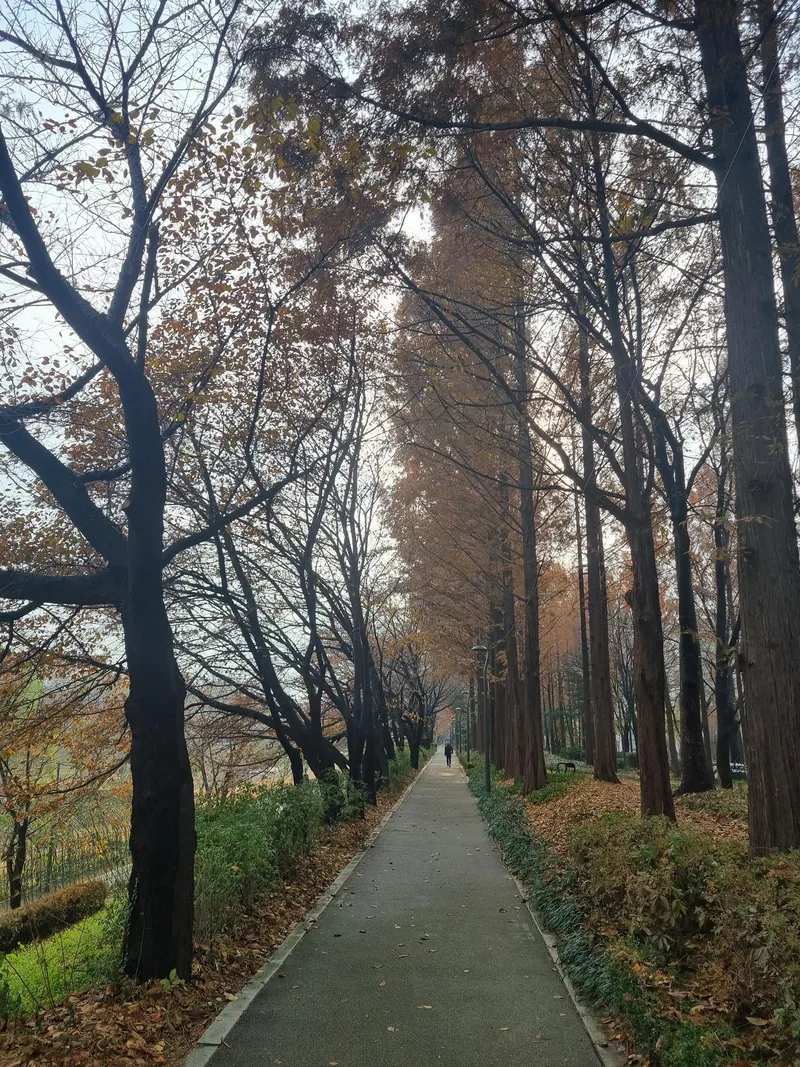 [서울 서초] 스튜디오 아파트,양재역 양재천 근접, 주차편리, 도심속힐링 28