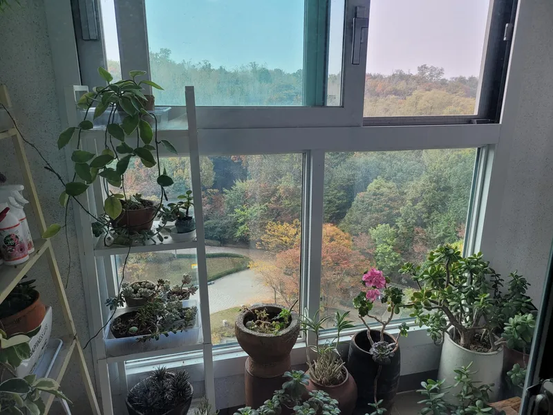 [Gangdong, Seoul] Newly built three-room apartment with forest view, 13th floor 20