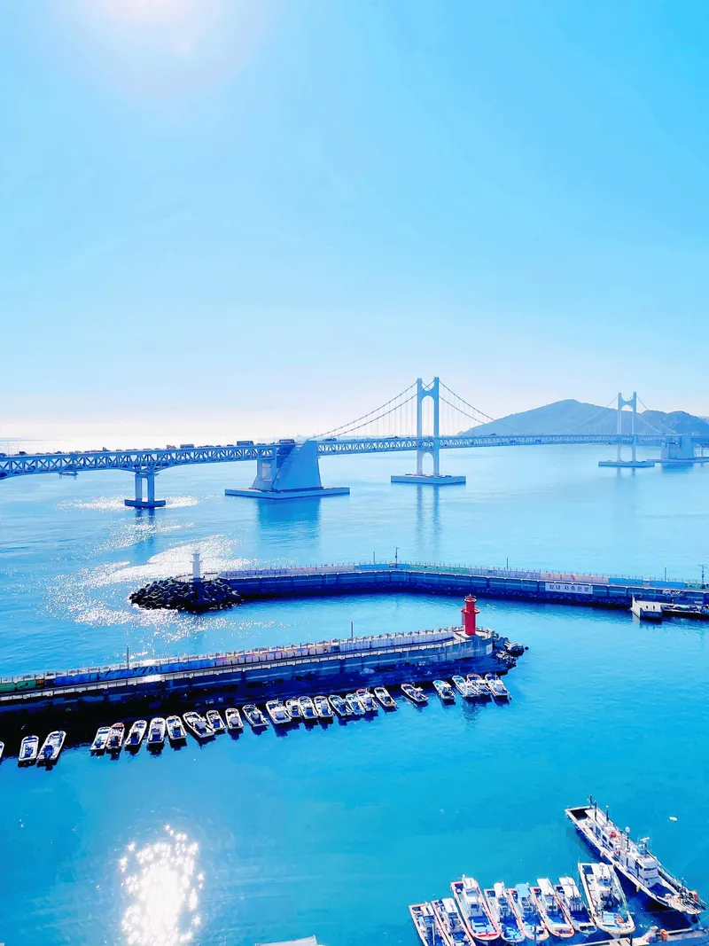 [Suyeong, Busan] #Gwangan Bridge #Full Ocean View #High-Rise #Luxury Apartment #1 Second from the Beach #Healing Accommodation 6