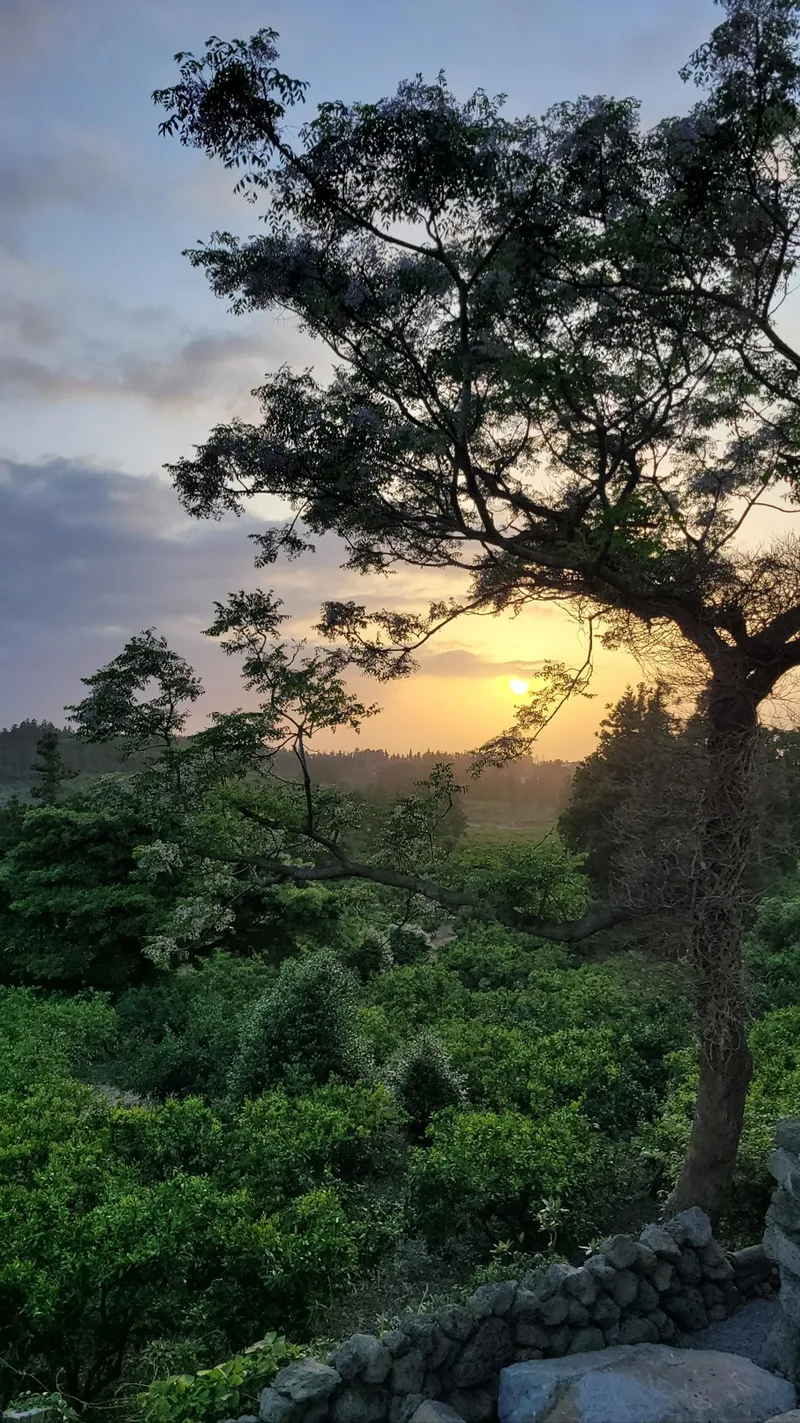[Jocheon, Jeju] Fantastic sunset outside the window of Seonheul Jungsangan duplex pension 53