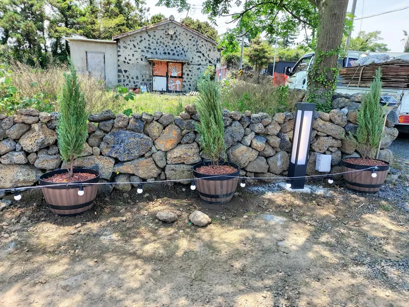 [Jocheon, Jeju][Jeju Hamdeok] Emotional one-room detached house with a beautiful garden 15