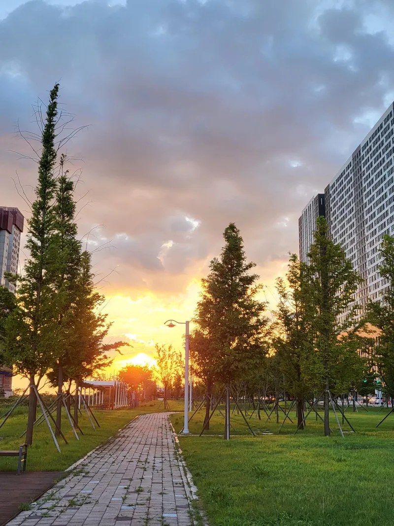 [Ansan][Gyeonggi Ansan Bandal Island] Beam Projector/OTT/Two Rooms/Bandal Island/Oido/Daebudo 31