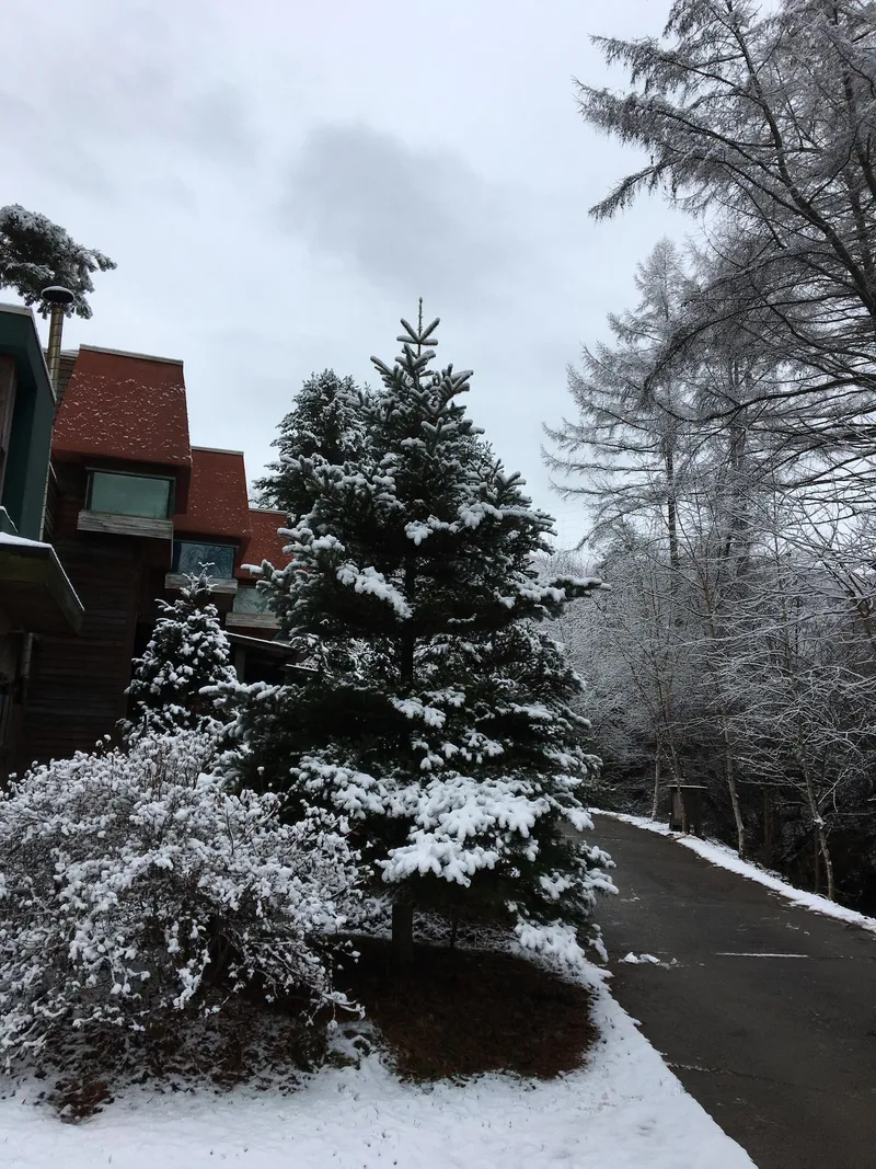 [Pyeongchang] Whypark Season Room. Duplex House. Forest Experience Center. Bongpyeong. Woljeongsa 21