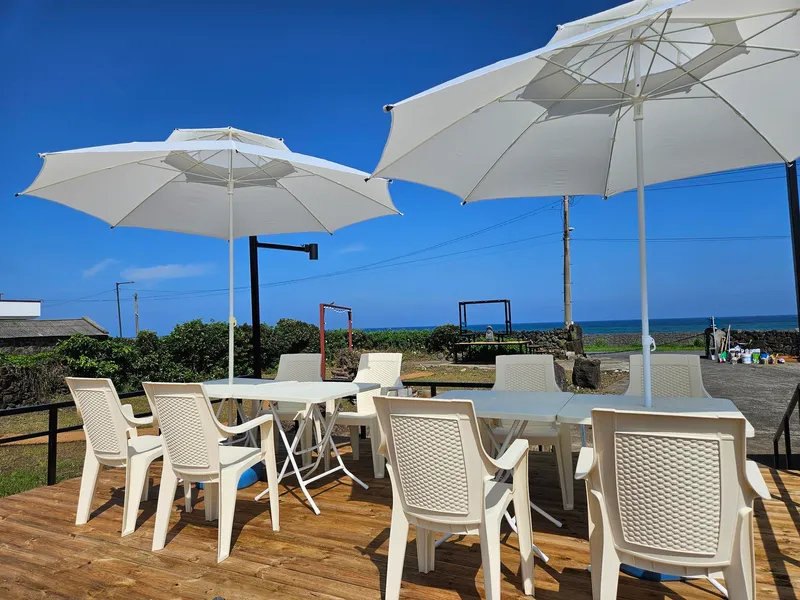 [Seongsan, Seogwipo] Ocean view, dolphin view, Olle trail course, 400-pyeong yard, emotional accommodation #pet 16