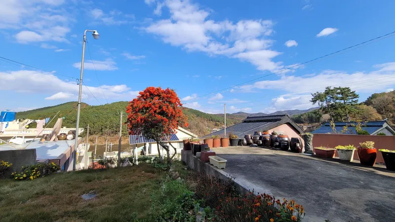 [전남 무안] 시골살이 #골프,낚시, 등산,가족모임 15