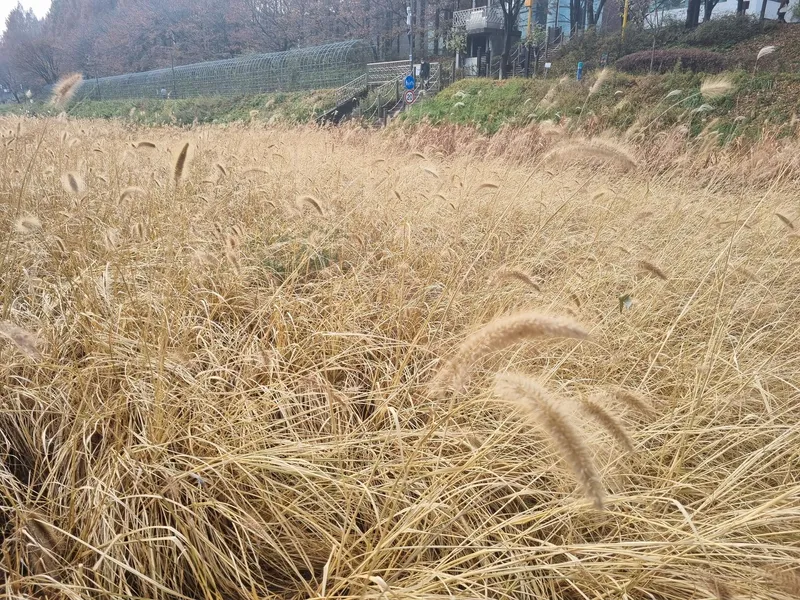 [서울 서초] 스튜디오 아파트,양재역 양재천 근접, 주차편리, 도심속힐링 25