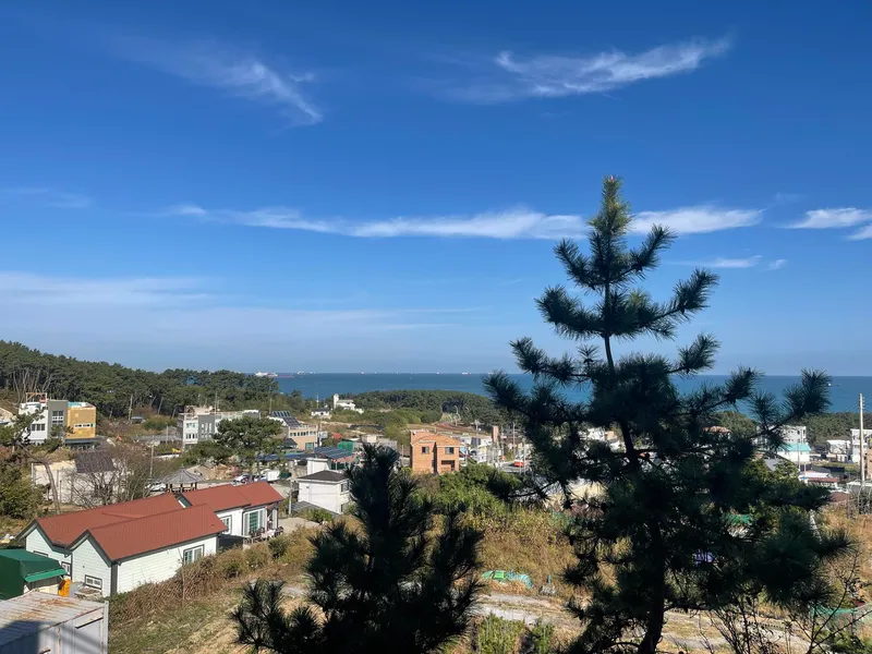 [울산 울주] 간절곶 도보 5분거리 바다가 보이는 펜션 2층 핑크 1호 10