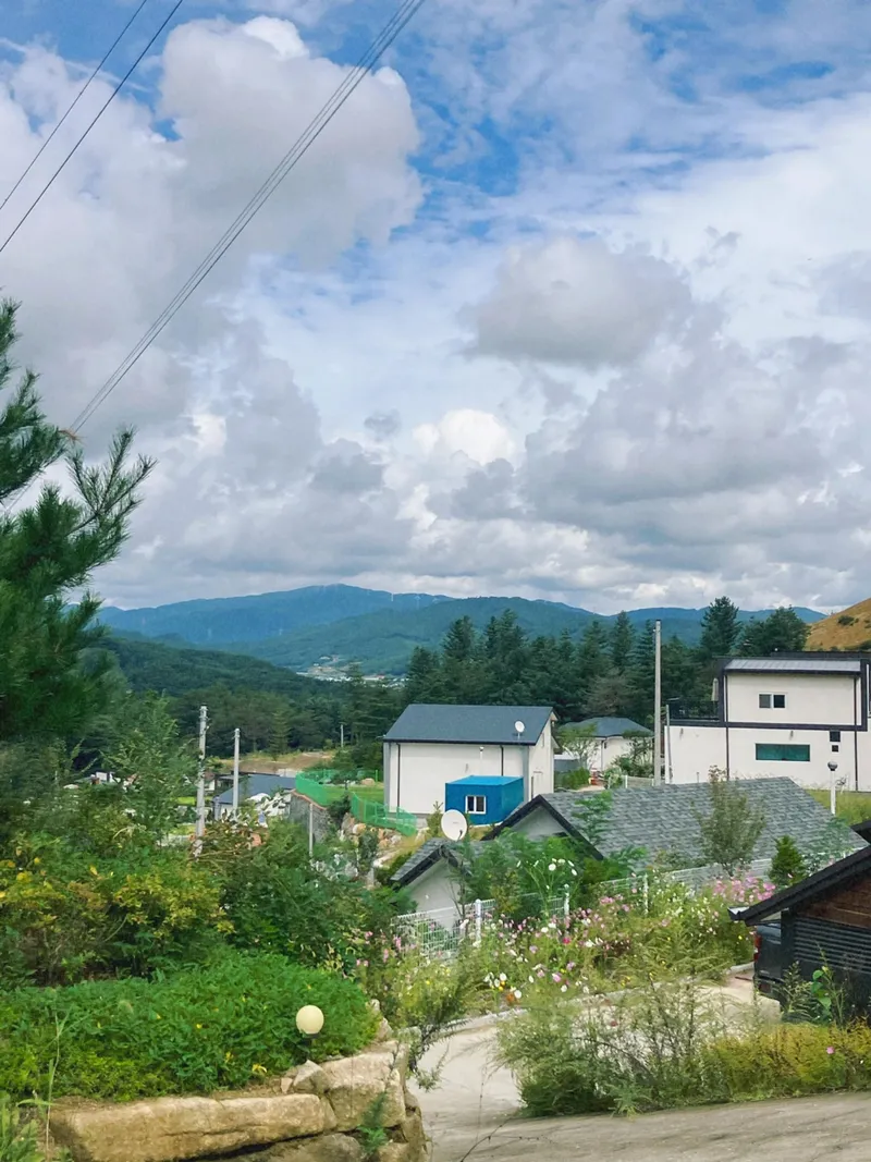 [강원 횡성] 횡성 감성 독채 펜션 이담재 #프라이빗 독채 #애견 동반 #둔내역 5분 68