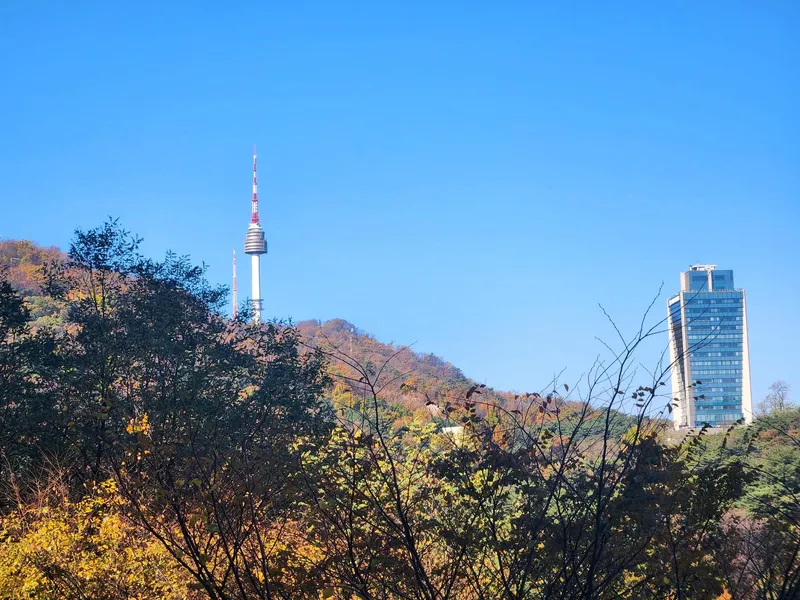 [Jung-gu, Seoul] Newly remodeled apartment near Namsan Forest District, Itaewon Hannam, and Hipdang-dong 27