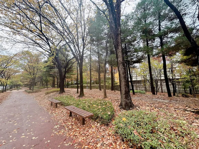 [서울 강서] 양천향교역과 한강인근, 아파트 투룸, 공과금 없음,조용한 동네 14