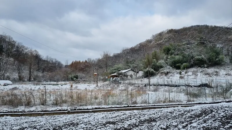 [충남 금산] 인스타 감성이 아닌 흔한 독채 시골집 20