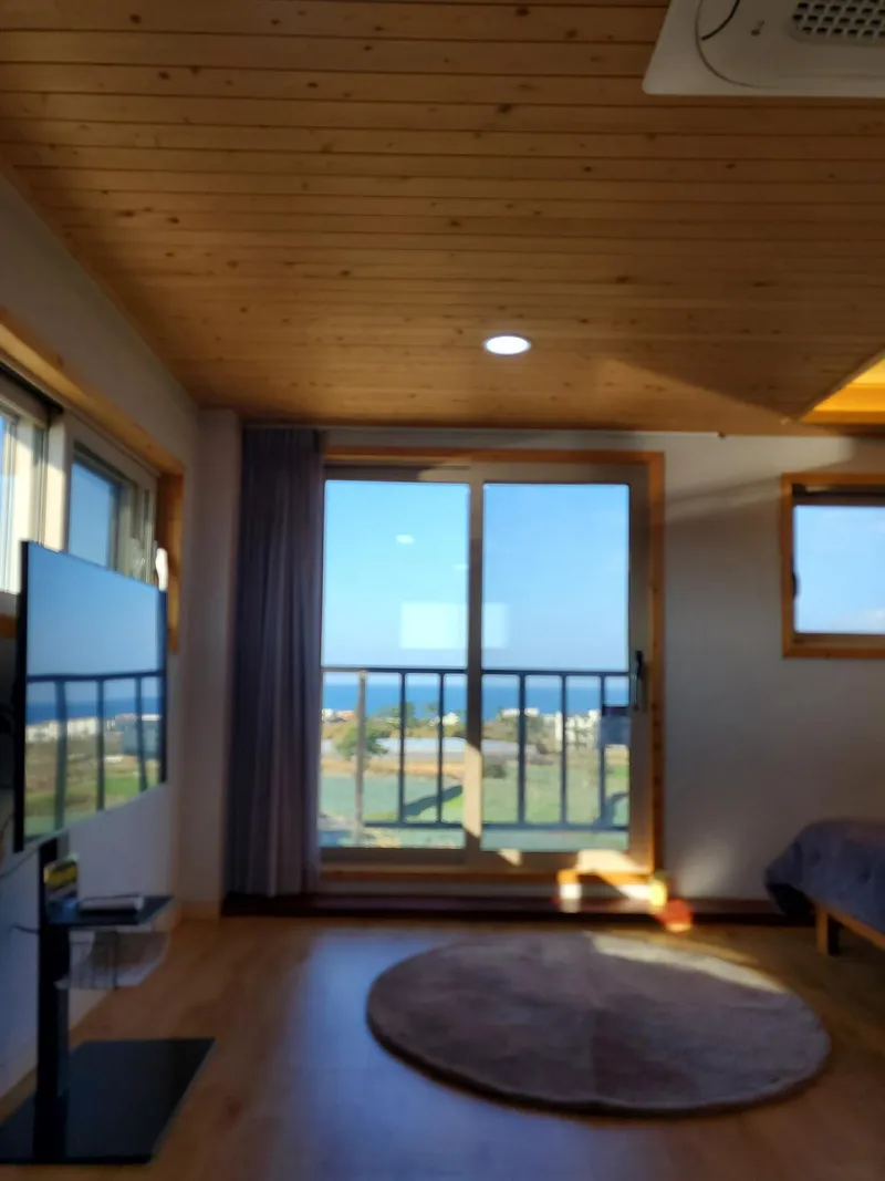 [Hallim, Jeju] Ocean view duplex one-room #private terrace #barbecue possible #203 44