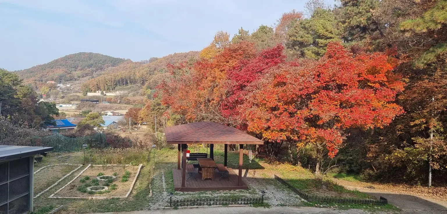 【京畿道骊州市】森林中的静谧休憩 - main image