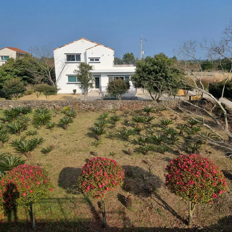 [제주 구좌] 돌담과잔디정원이예쁜 독채2층 전원주택(녹차) 6