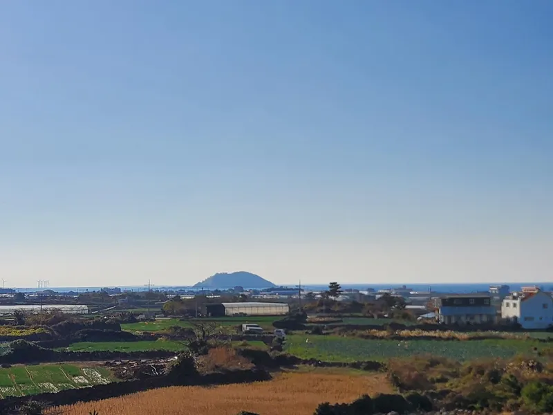 [Hallim, Jeju] Ocean view duplex one-room #private terrace #barbecue possible #203 45