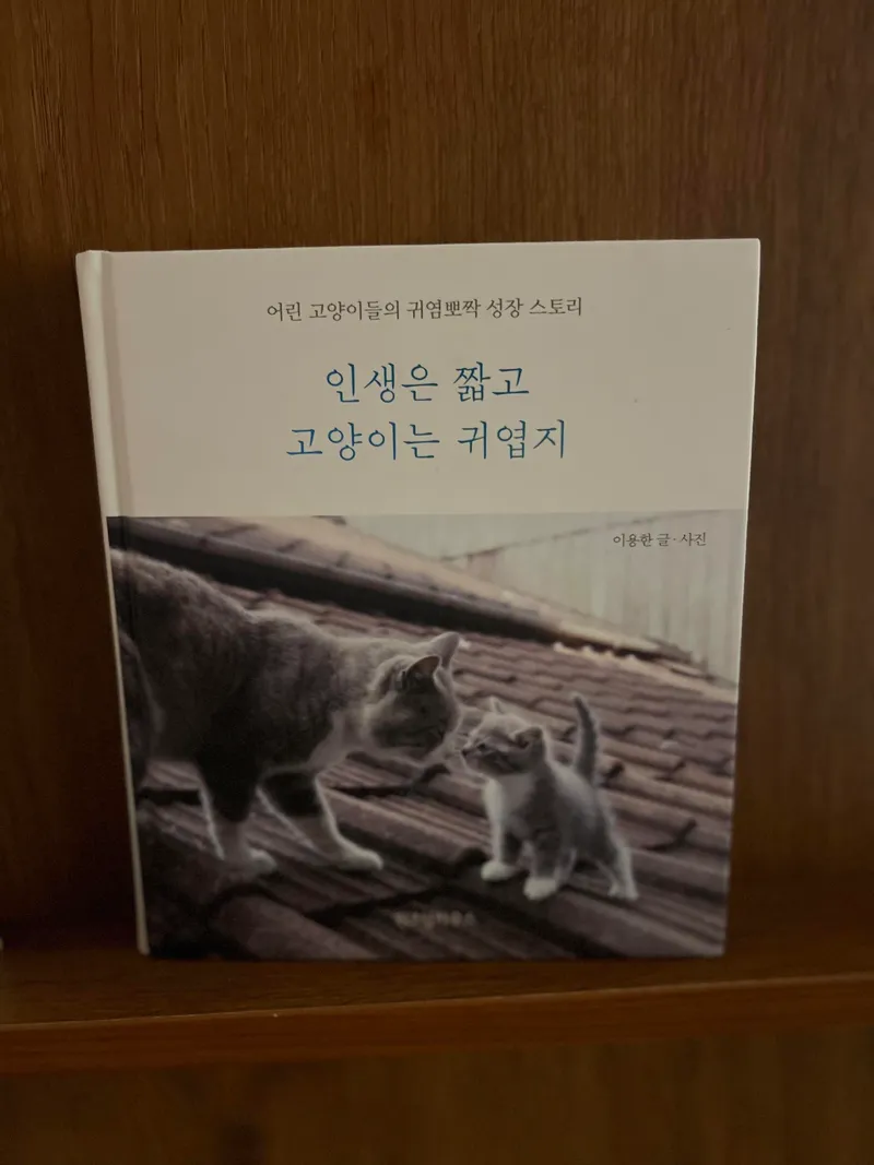 [Hwaseong][Mars Bongdam] Cozy and clean Bodongine 2 12