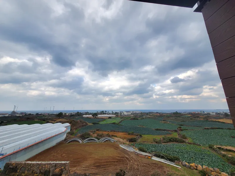 [Hallim, Jeju] Ocean view duplex one-room #private terrace #barbecue possible #202 17