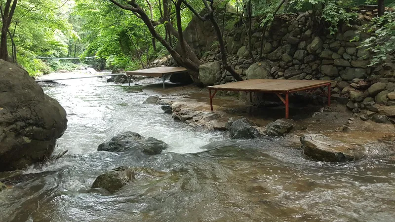 [Ulju, Ulsan] Grass yard pension 101 next to Daewunsan valley 12
