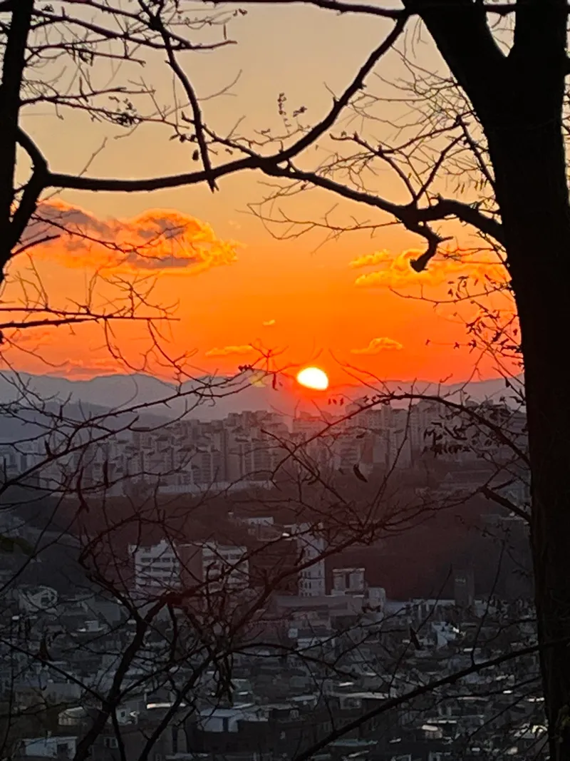 [서울 종로] 메종 프롬네르_한양성곽 도보3분 아담한 숙소 #애견동반 11