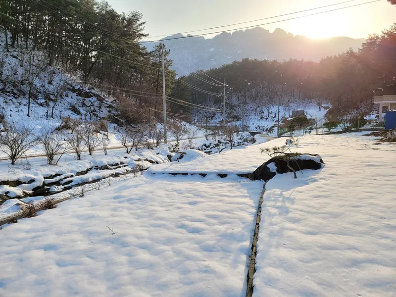 [Jeongeup][Jeongeup, Jeollabuk-do] A quiet healing single-story house in the mountains of Naejangsan 14