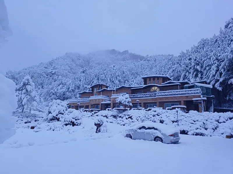 [Inje] A high-quality healing town one-room house in harmony with nature #Pets allowed 21