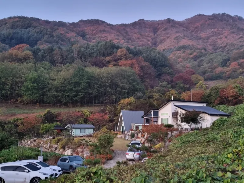 [경북 문경] #문경신축독채#산뷰가보이는조용한 산골# 애견동반 10
