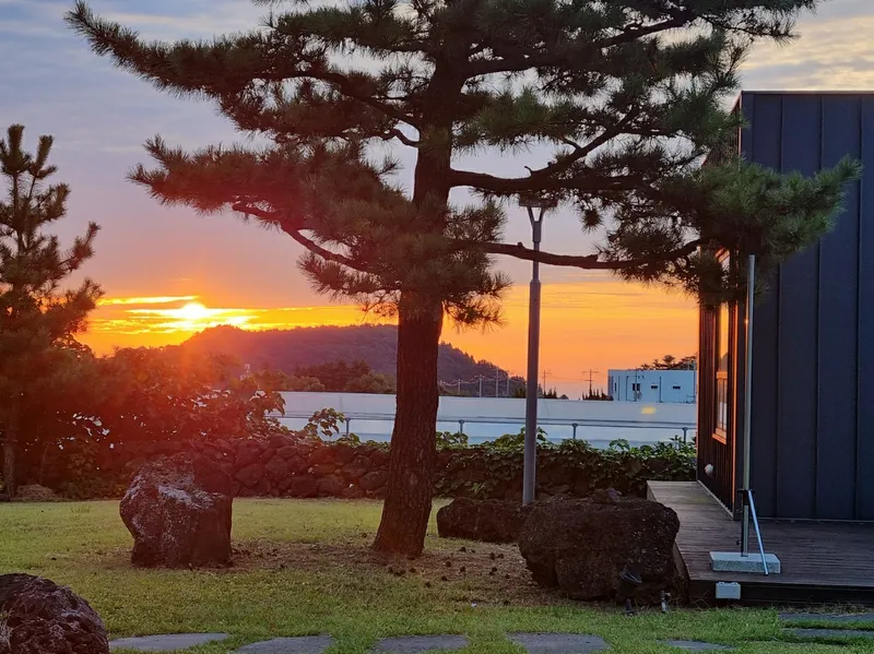 [Topyeong-dong, Seogwipo] (7 days or more) STAY Little Forest #Terrace #CookingStay [Seogwipo] 69