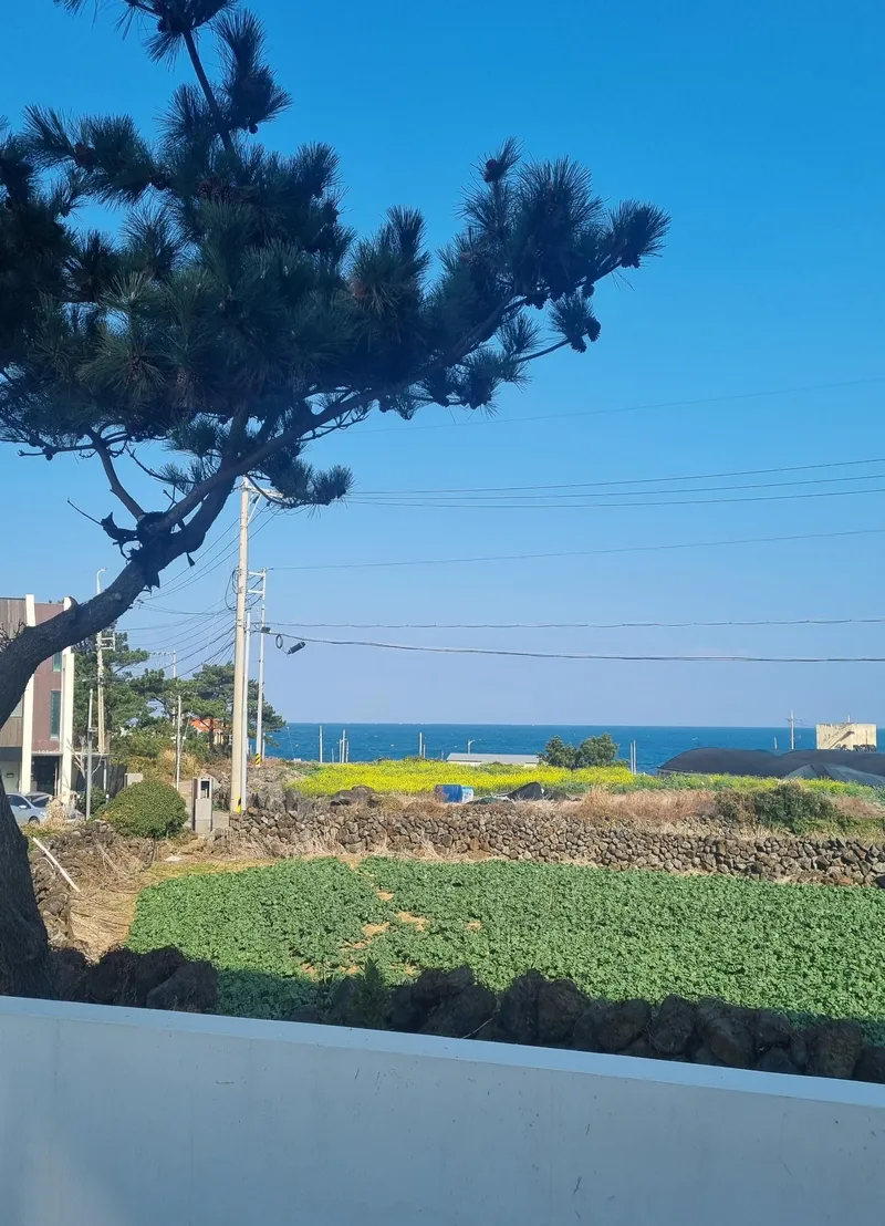 [제주 한림] (1호) 제주스러움이 가득한 곽지근처 투룸#바다뷰#2층 25