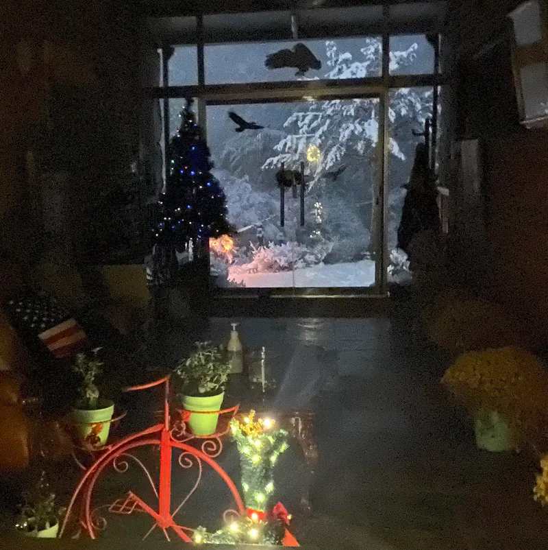 [Inje] High-quality healing town one-room house B in harmony with nature #Pets allowed 37