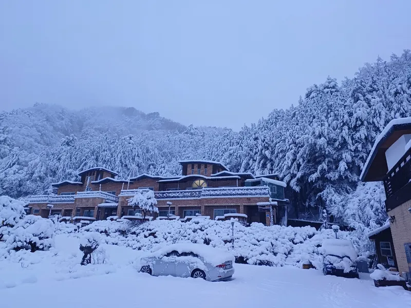 [Inje] High-quality healing town one-room house B in harmony with nature #Pets allowed 38
