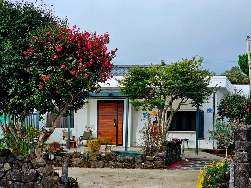 [Namwon, Seogwipo] Family room. Two-room. Private detached house located within the village. Pets allowed. Free guest access. 4