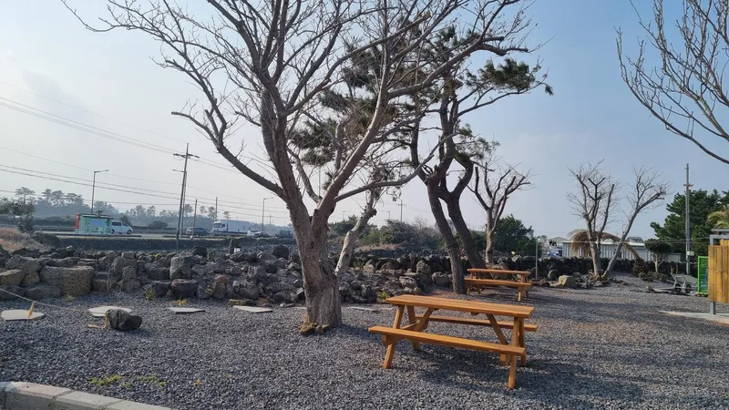 [제주 한림] (1호) 제주스러움이 가득한 곽지근처 투룸#바다뷰#2층 30